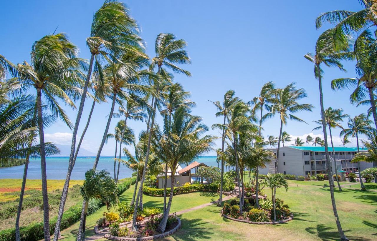 Molokai Island Retreat With Beautiful Ocean Views And Pool - Newly Remodeled! Daire Ualapue Dış mekan fotoğraf